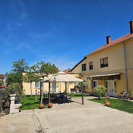Apartments Kuca Aleksic Ni Exteriör bild