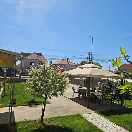 Apartments Kuca Aleksic Ni Exteriör bild